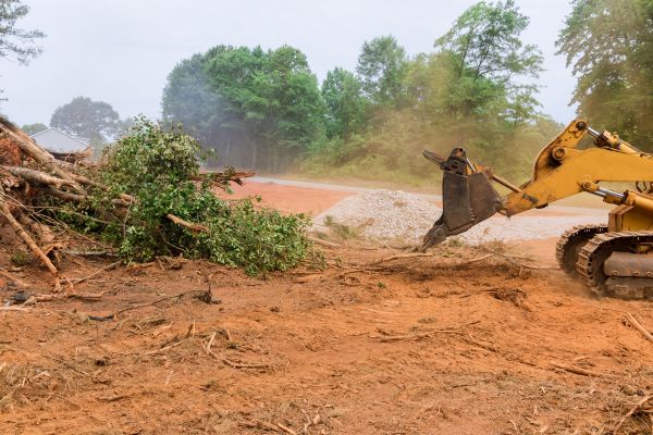 Ground Clearing in Joplin