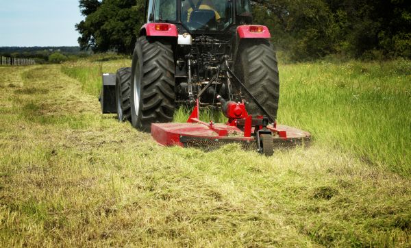 Brush Clearing Service in Joplin