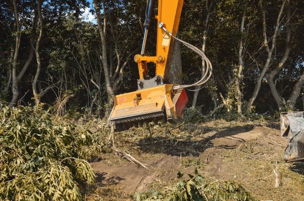 Brush Removal Service in Joplin