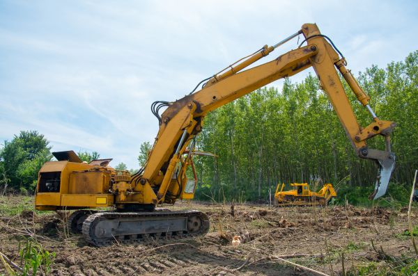 Farm Clearing in Joplin