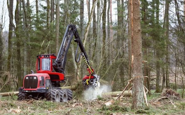 Forest Clearance Service in Joplin