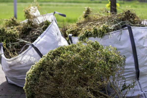 Cost of Bushes Clearing in Joplin