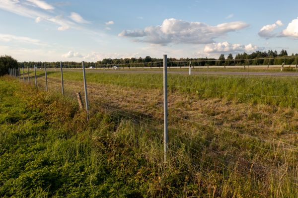 Property Line Clearing in Joplin