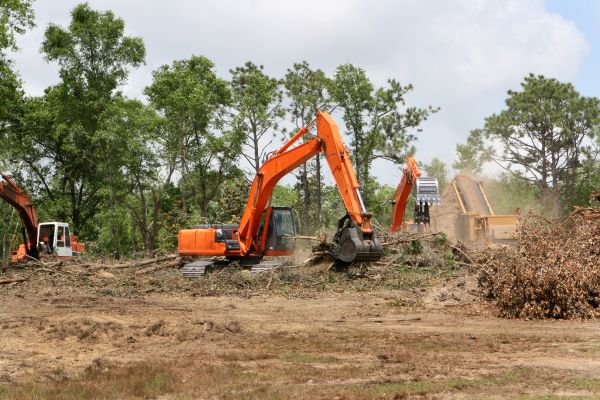 Commercial Lot Clearing in Joplin